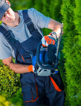 front-pages-icons_07